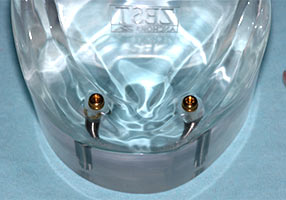 Nylon Dental Implants